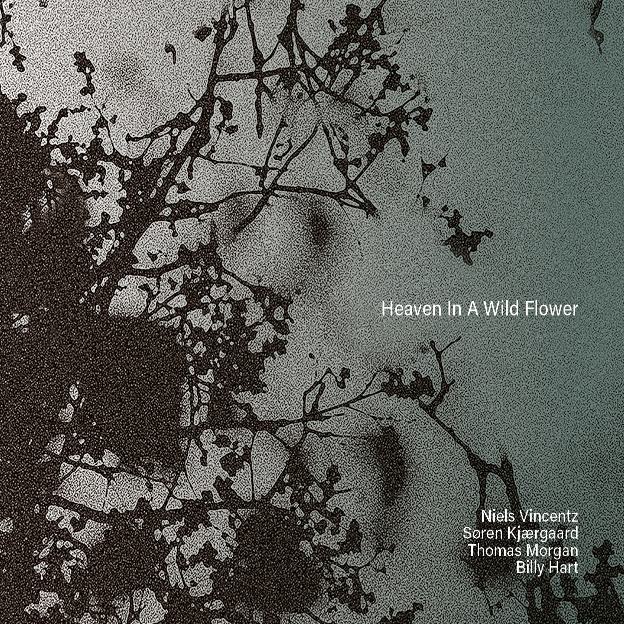 Heaven In A Wildflower – ILK Music